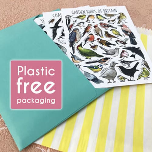 Plastic Free Packaging on Alexia Claire Postcards Pack