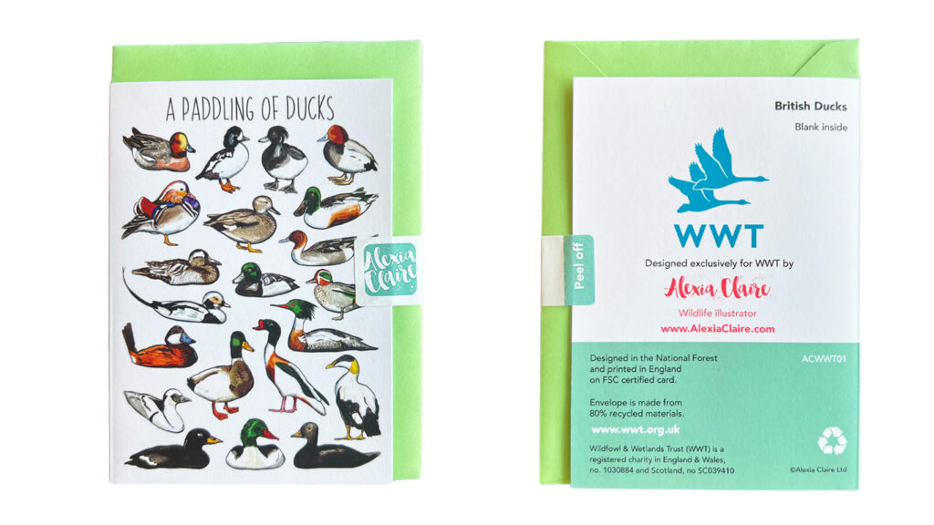 WWT Card Paddling of Ducks
