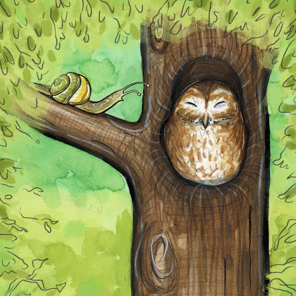 Owl in The Tree Scene