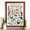 A3 Ultimate Garden Bird Print