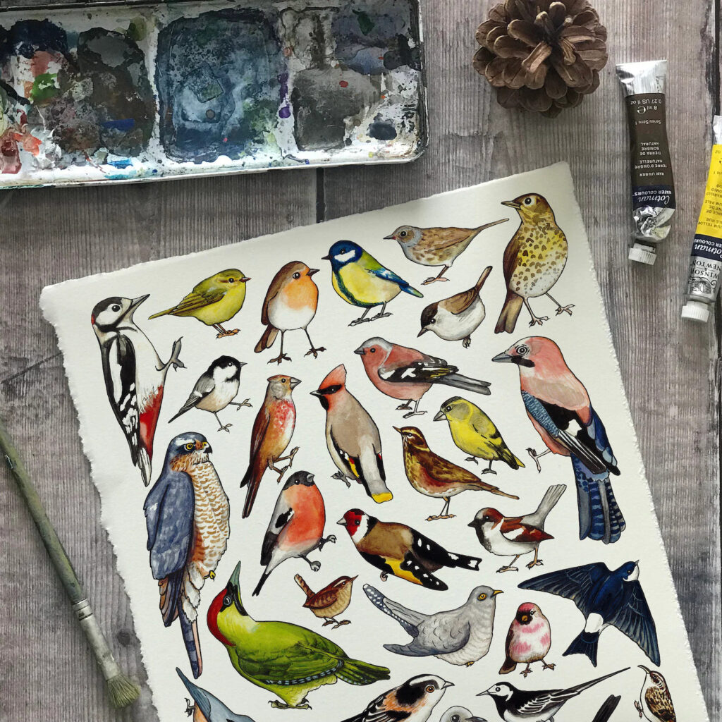 Hand Painted and Illustrated Artwork