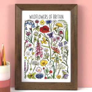 Wildflowers Of Britain Art Print